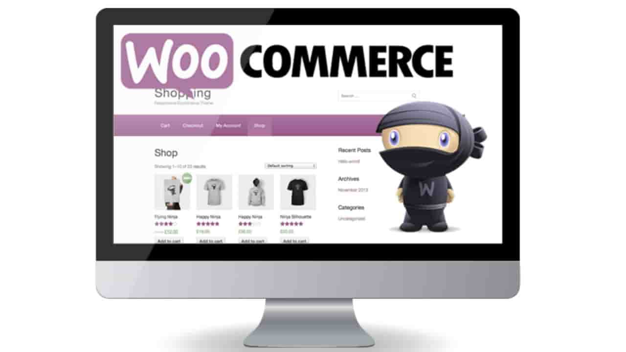 What is woo commerce wordPress plugin in Hindi